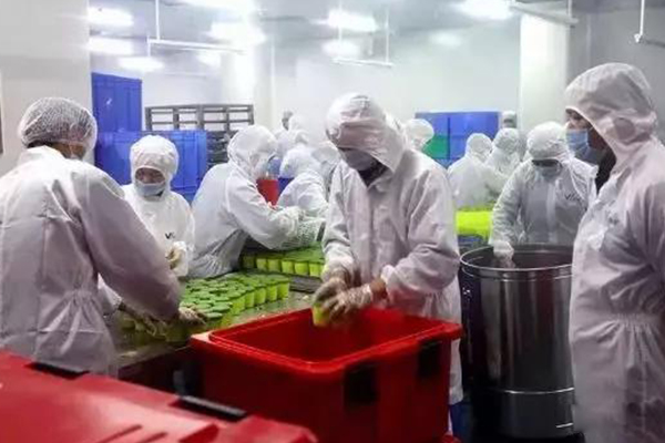 德國企業(yè)采購600個食品保溫箱